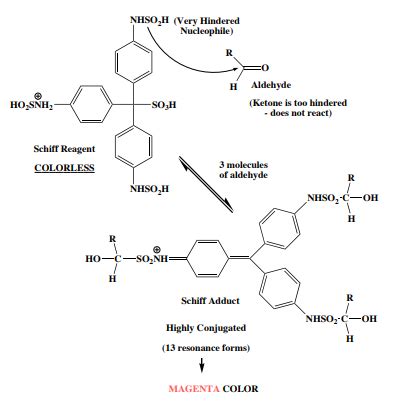 schiff's reagent molar mass.
